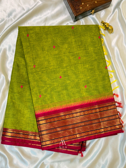Mayukha Kanchi Cotton Saree - Mila by Lakshmi