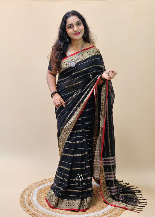 Hemangi Narayanpeth Saree