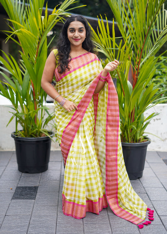 Pista Check Kanchi Border Saree